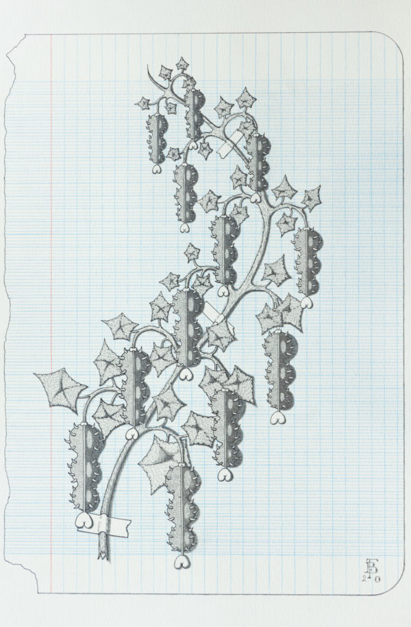 Rêve de botaniste 5-10